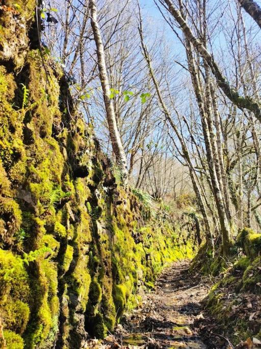 Casa Carmina: Casa Para Pequenos Grupos En El Corazon De Galicia O Irixo Bagian luar foto