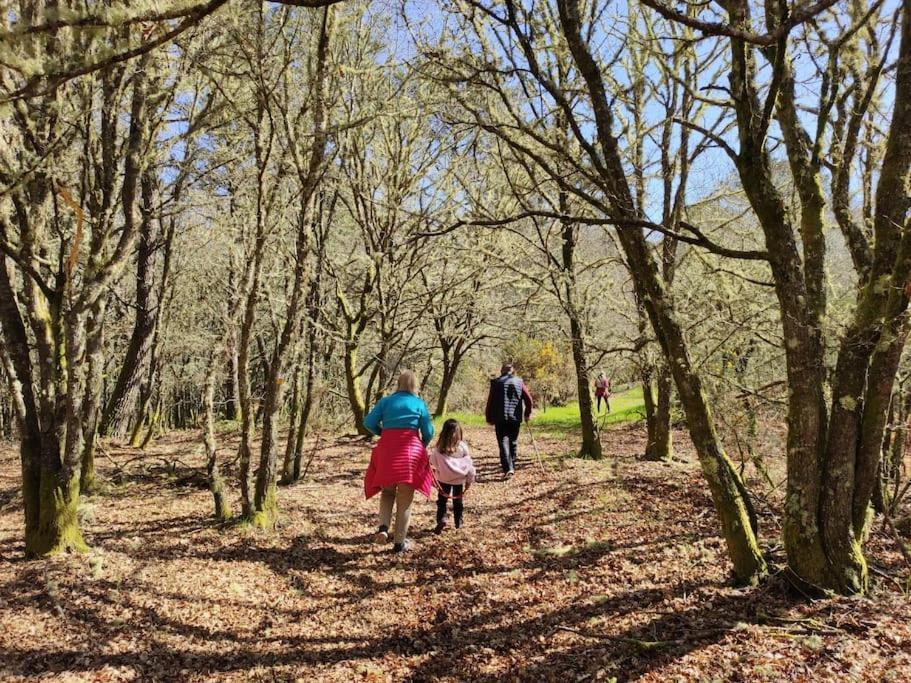 Casa Carmina: Casa Para Pequenos Grupos En El Corazon De Galicia O Irixo Bagian luar foto